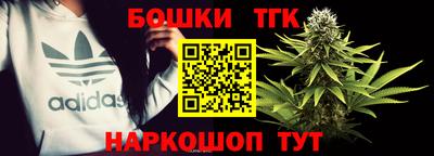 молекула духа Камышлов