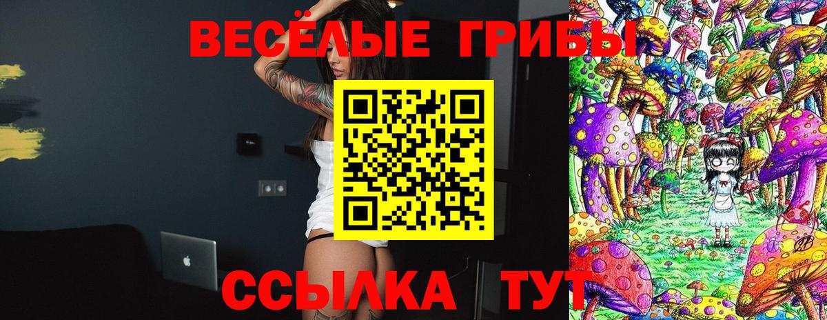 Псилоцибиновые грибы Magic Shrooms Великий Новгород