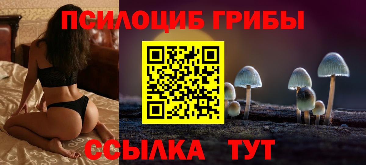 Галлюциногенные грибы MAGIC MUSHROOMS  купить наркотик  Великий Новгород  Вход с VPN 